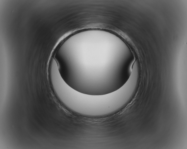 X0000086251230200704191835