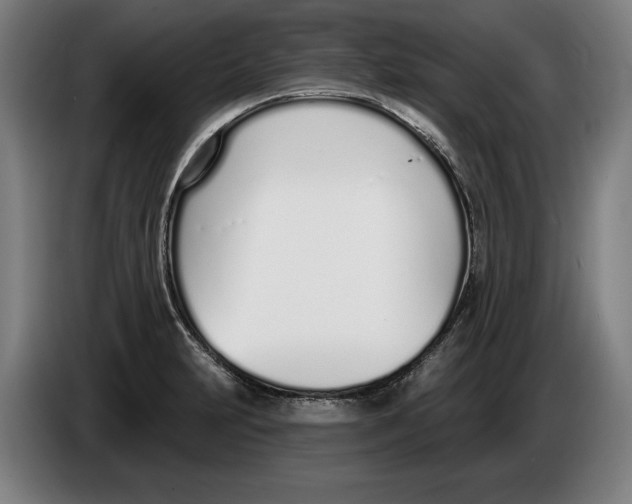 X0000086251231200704191835