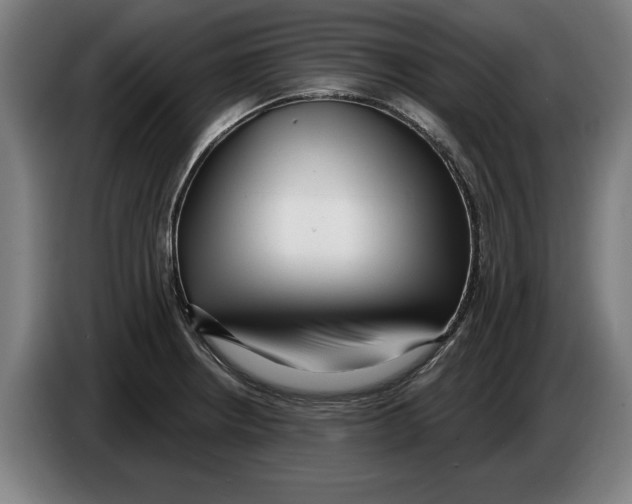 X0000086251234200704191836