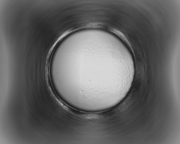 X0000086251235200704191836