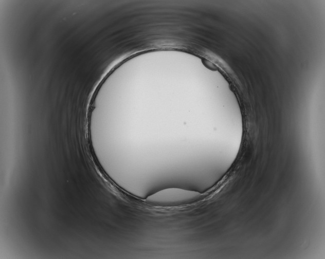 X0000086251236200704191836