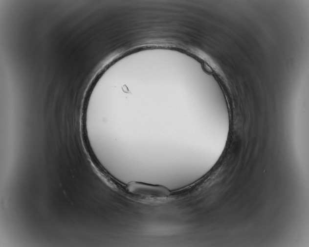 X0000086251237200704191836
