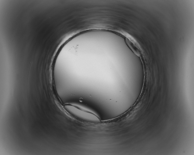 X0000086251238200704191836
