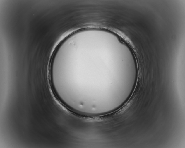 X0000086251239200704191836