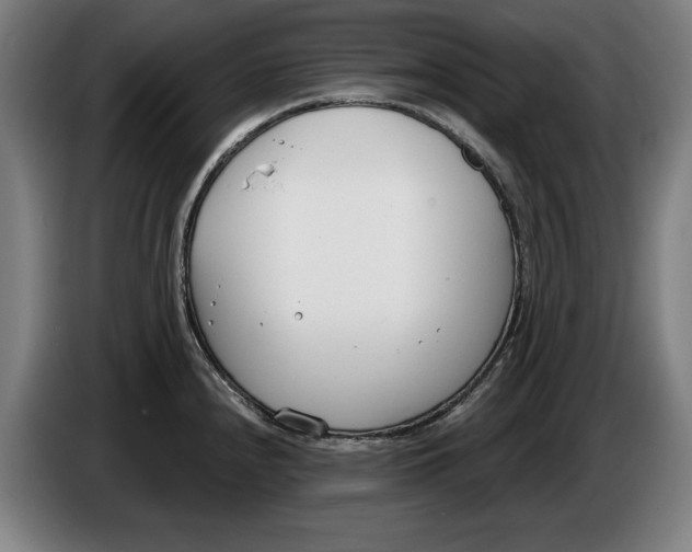 X0000086251240200704191836