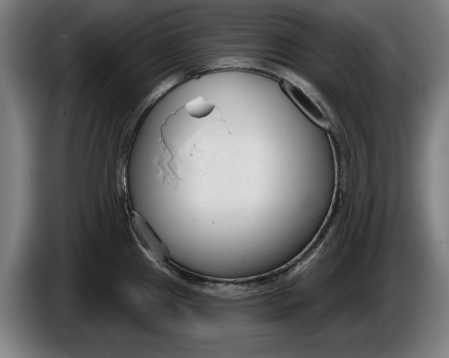 X0000086251241200704191836