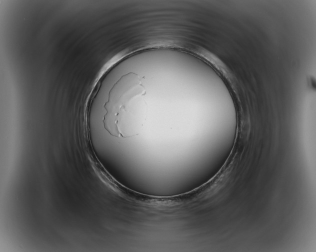 X0000086251242200704191836