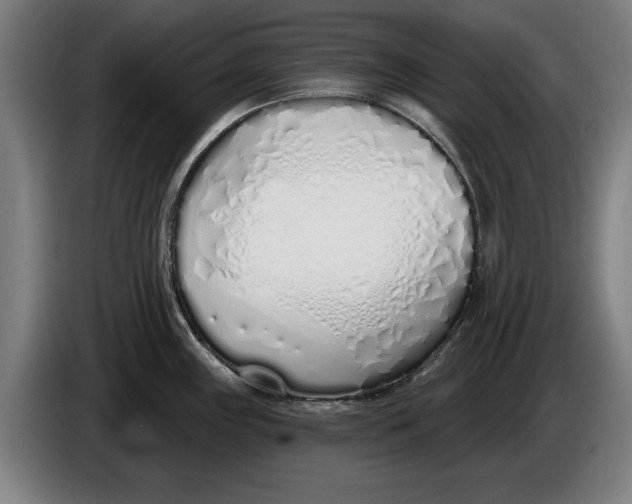 X0000086251243200704191836