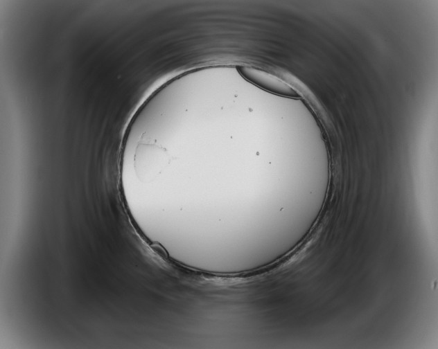 X0000086251244200704191836