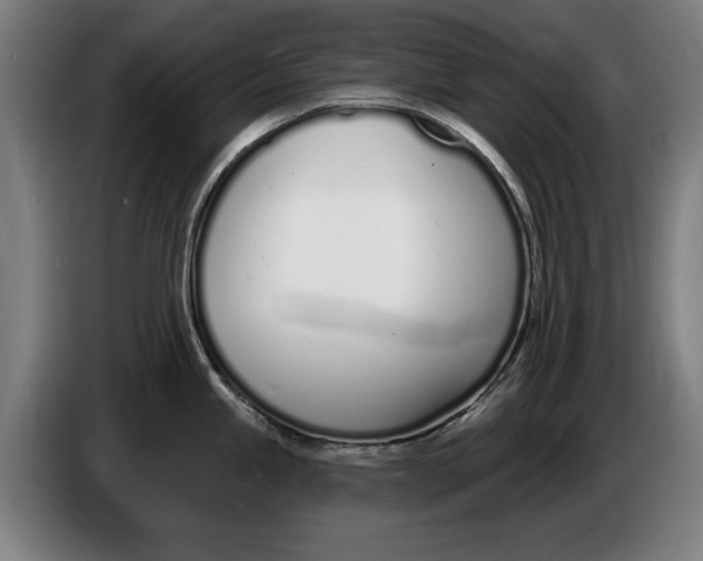 X0000086251245200704191836
