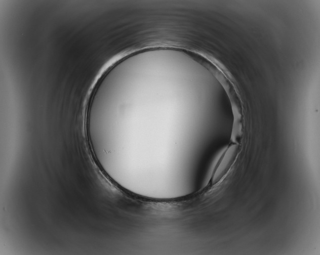 X0000086251246200704191836