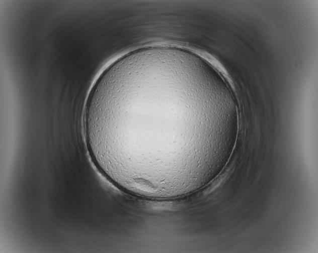 X0000086251247200704191836