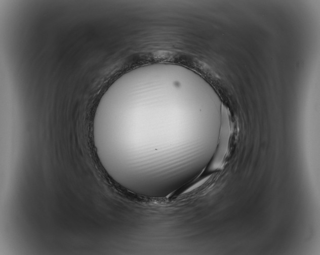 X0000086251249200704191835