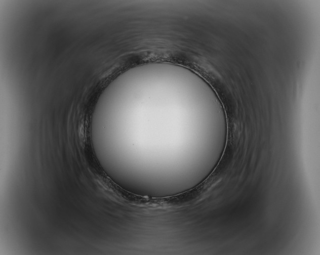 X0000086251250200704191835