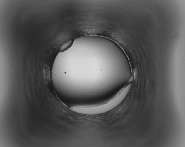 X0000086251251200704191835