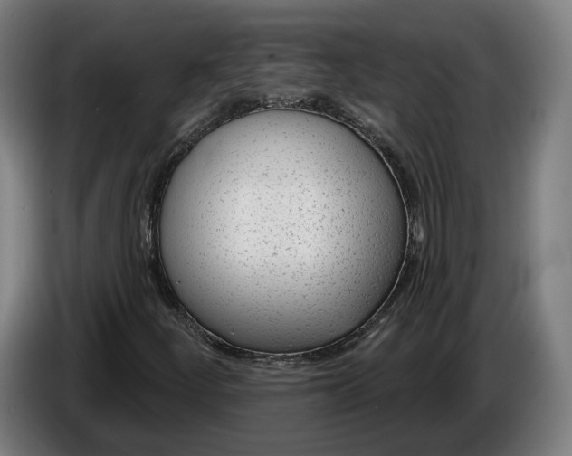 X0000086251252200704191835