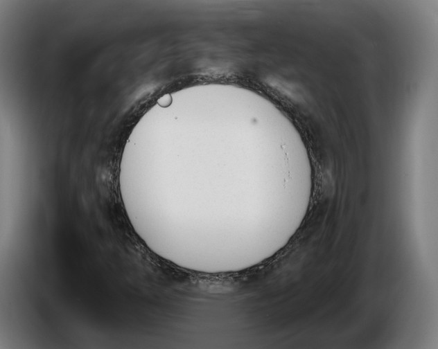 X0000086251254200704191835