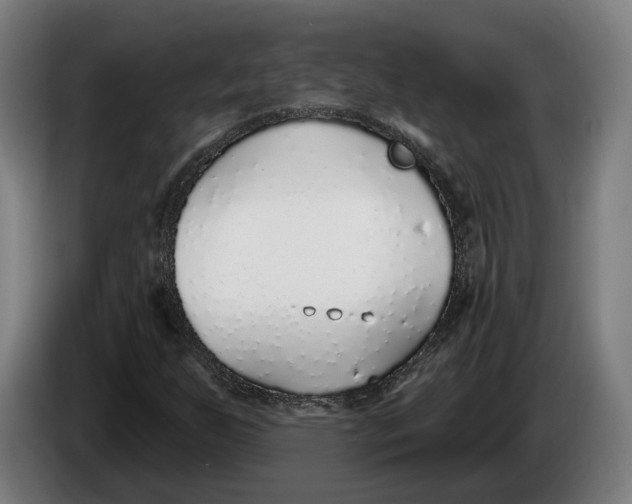 X0000086251255200704191835