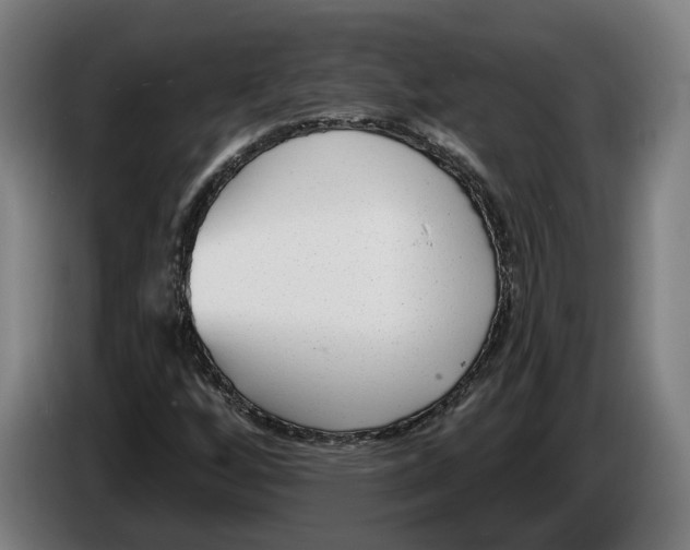 X0000086251256200704191835