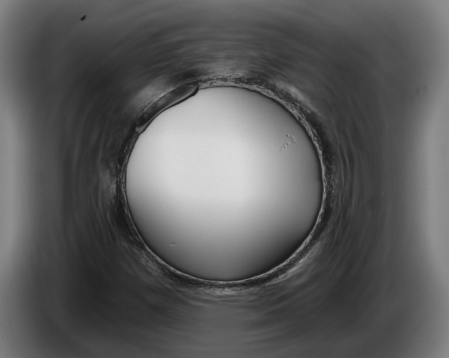 X0000086251257200704191835