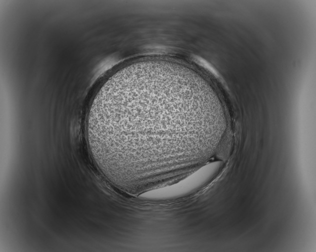 X0000086251259200704191835