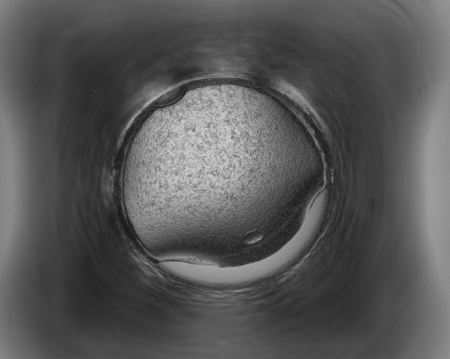 X0000086251260200704191835