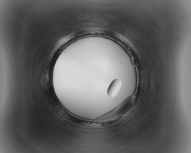 X0000086251261200704191835