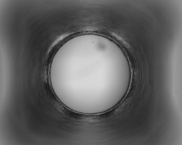 X0000086251262200704191835