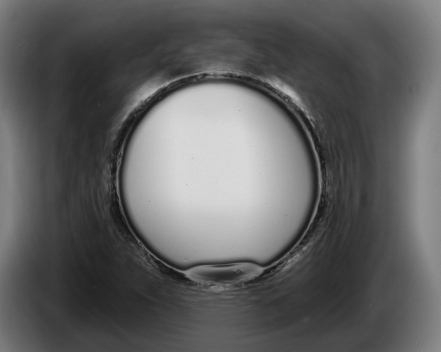 X0000086251263200704191835