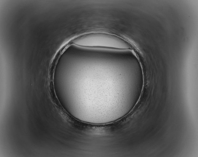 X0000086251264200704191835