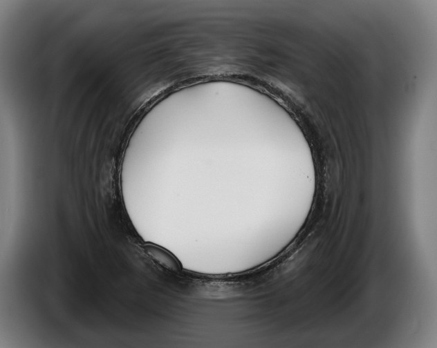X0000086251265200704191835