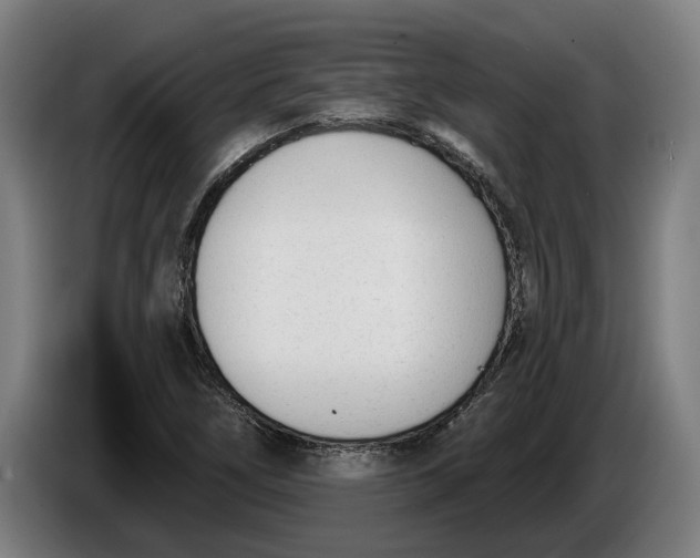 X0000086251266200704191835