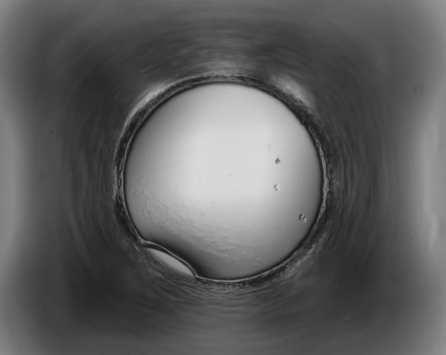 X0000086251267200704191835