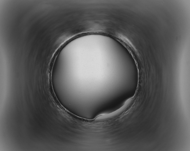 X0000086251268200704191835
