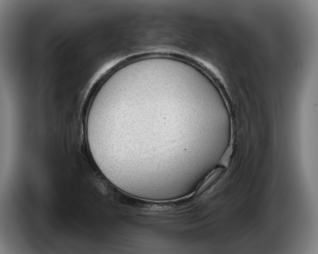 X0000086251271200704191835