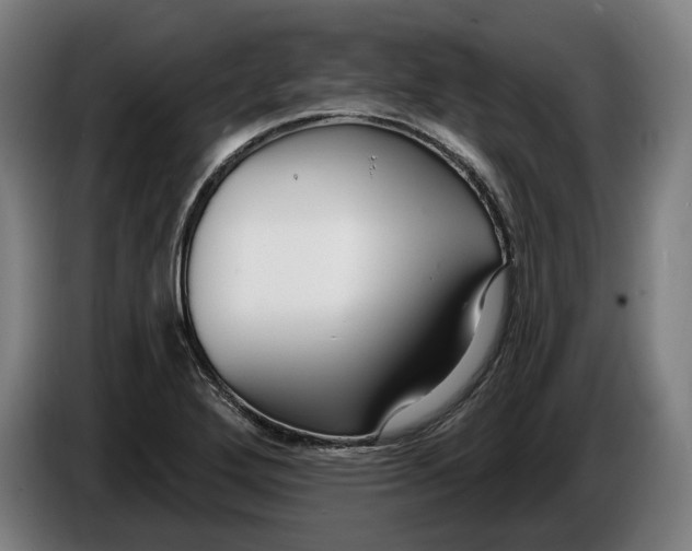 X0000086251272200704191835