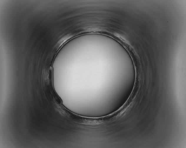 X0000086251273200704191835