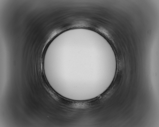 X0000086251274200704191835