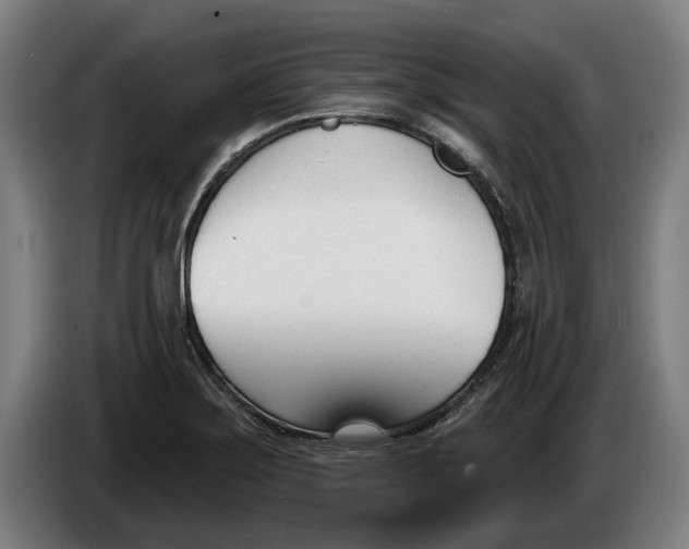 X0000086251275200704191835