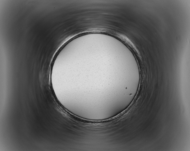 X0000086251276200704191835