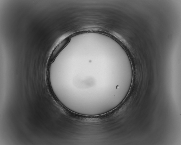 X0000086251277200704191835