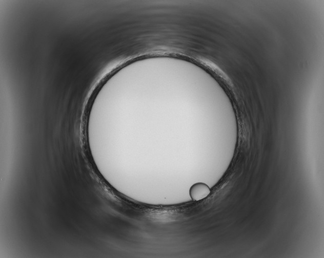 X0000086251278200704191835
