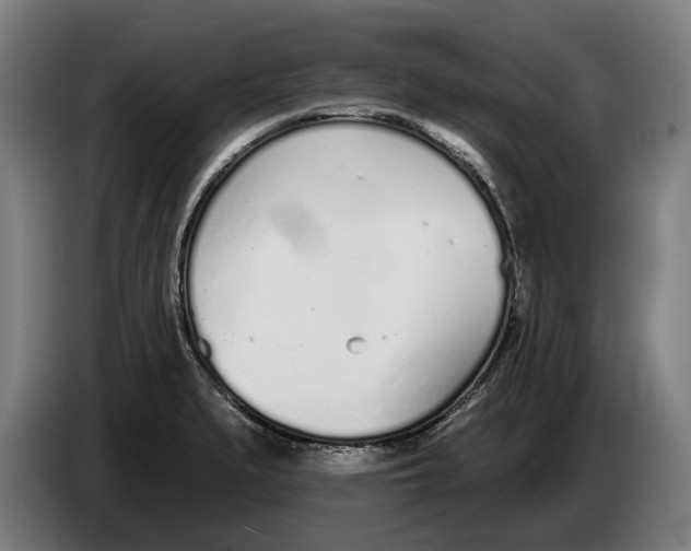 X0000086251279200704191835