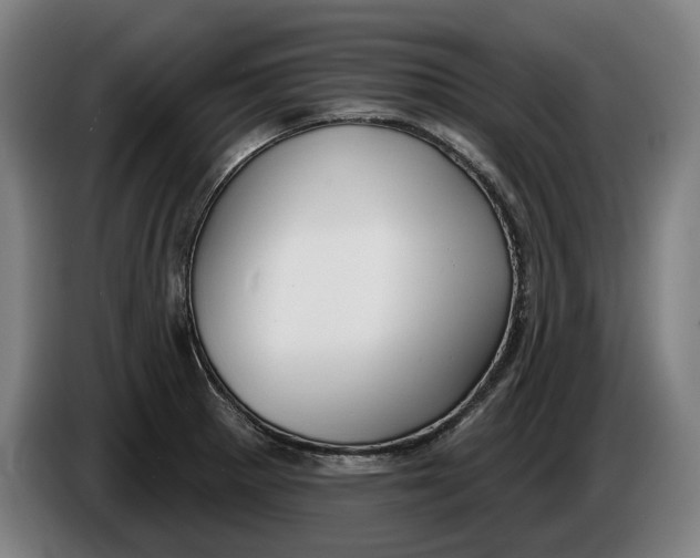 X0000086251281200704191835