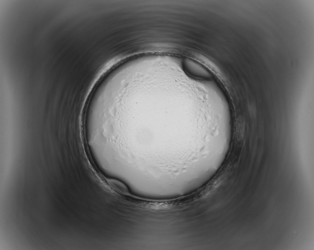 X0000086251283200704191835