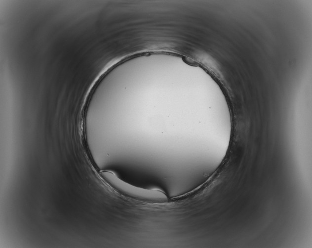 X0000086251284200704191835