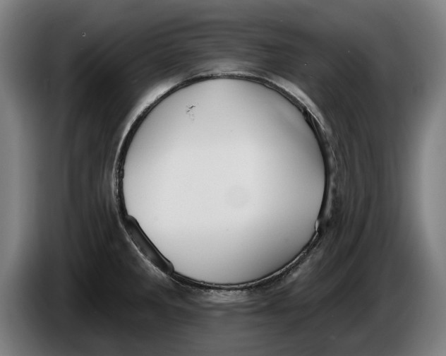 X0000086251285200704191835