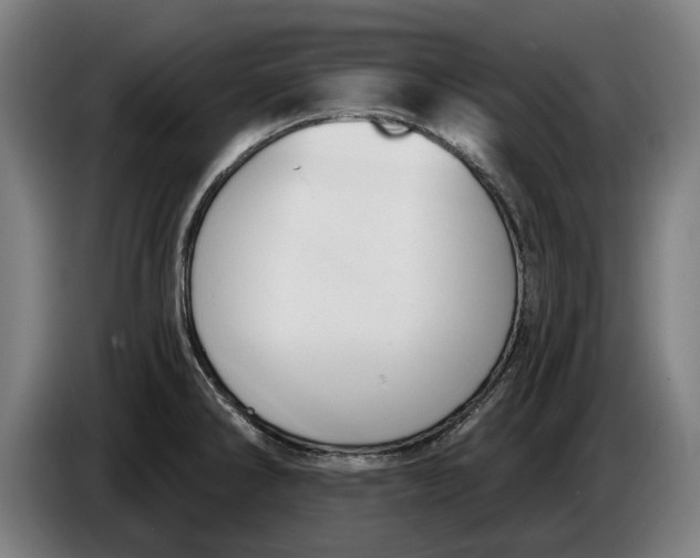 X0000086251286200704191835