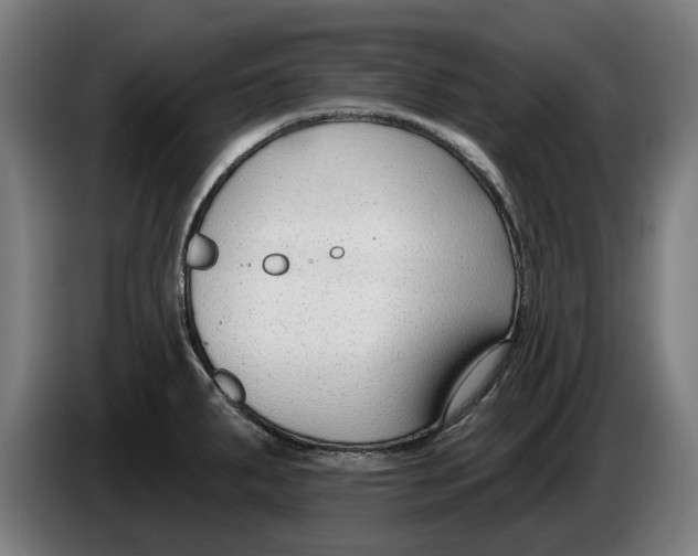 X0000086251287200704191835