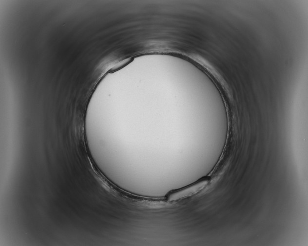 X0000086251289200704191835
